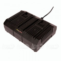 Двойное зарядное устройство Worx WA3883 в Ижевске