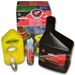 Набор для техобслуживания двигателей Briggs&Stratton Classic, Sprint 992049 в Ижевске