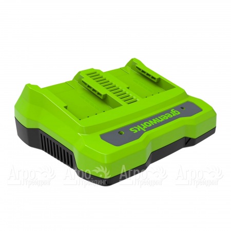 Зарядное устройство Greenworks G40UC2  в Ижевске