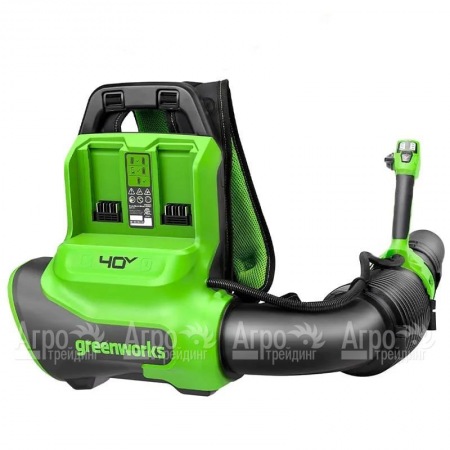 Воздуходувка аккумуляторная GreenWorks GD40BPG2  в Ижевске