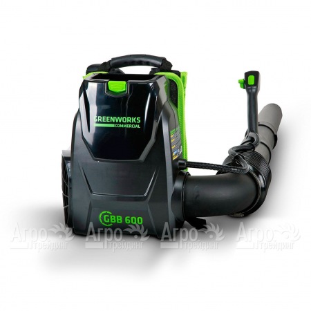 Воздуходувка аккумуляторная GreenWorks GC82BPBK5 82V  в Ижевске