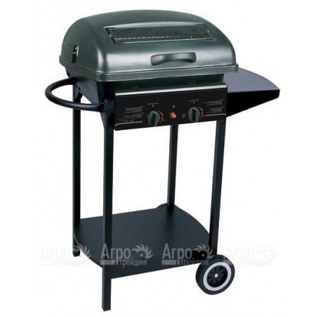 Гриль-барбекю газовый Green Glade RH-2210A в Ижевске