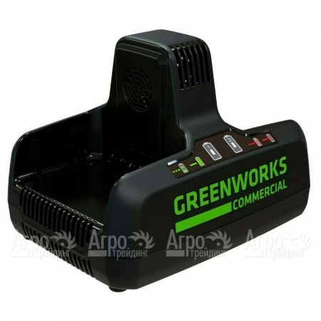 Быстрое зарядное устройство GreenWorks G82C2  в Ижевске