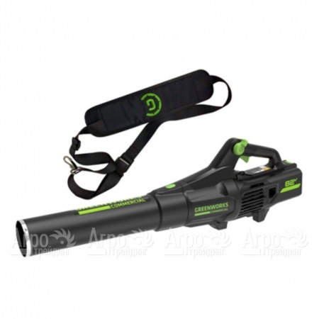 Воздуходувка аккумуляторная GreenWorks GD82ABIIK5  в Ижевске