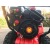Снегоуборщик Wolf-Garten Select SF 56 в Ижевске