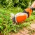 Аккумуляторные ножницы для кустарников Stihl HSA 26 SET c АКБ AS2 и ЗУ AL1 в Ижевске