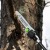 Высоторез аккумуляторный GreenWorks PS102T (без аккумулятора и зарядного устройства) в Ижевске