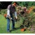 Бензокоса (бензиновый триммер) Stihl FS 38 с дополнительной шпулей в Ижевске