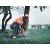 Бензопила Husqvarna 565-18" в Ижевске