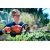 Аккумуляторные ножницы Husqvarna 115iHD45 в Ижевске