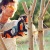 Аккумуляторная пила Stihl MSA 120 C-BQ-12 в Ижевске
