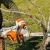 Аккумуляторная пила Stihl MSA 220 C-BQ-14" (без аккумулятора и зарядного устройства) в Ижевске