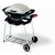 Газовый гриль Weber® Q™ в Ижевске