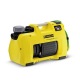 Поверхностный самовсасывающий насос Karcher BP 4 Home &amp; Garden eco!logic в Ижевске