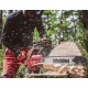 Бензопила Shindaiwa 501SX в Ижевске