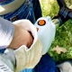 Бензокоса (бензиновый триммер) Stihl FS 38 с дополнительной шпулей в Ижевске