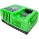 Быстрое зарядное устройство Greenworks G40UC5 в Ижевске
