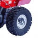 Бензиновая сенокосилка Eurosystems P70 Kohler в Ижевске