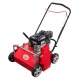 Скарификатор бензиновый DDE RS20-BS50 в Ижевске