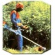 Бензокоса (бензиновый триммер) Stihl FS 38 в Ижевске
