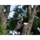 Бензопила Husqvarna 545 Mark II-15&quot; в Ижевске