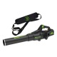 Воздуходувка аккумуляторная GreenWorks GD82ABIIK5 в Ижевске